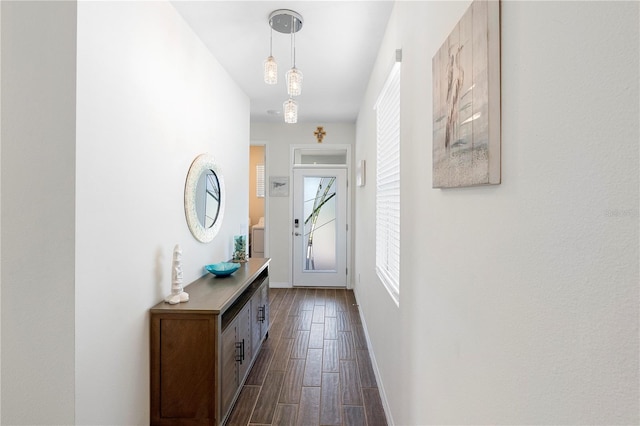 doorway to outside featuring dark wood-type flooring