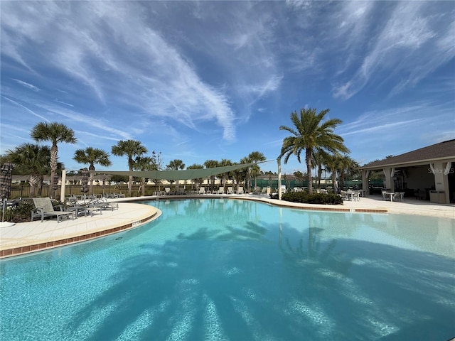 view of pool with a patio