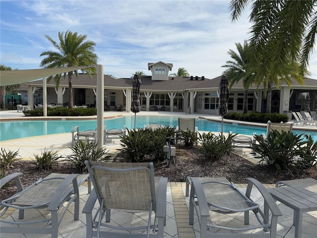 view of pool featuring a patio area