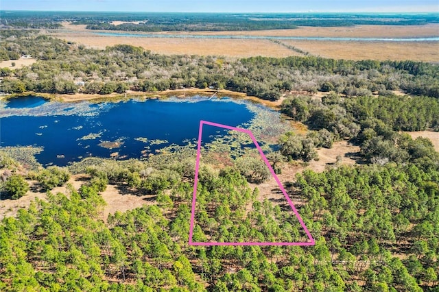 TBD Highway 42, Weirsdale FL, 32195 land for sale