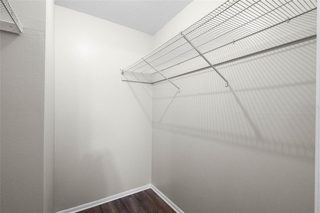 walk in closet featuring hardwood / wood-style floors