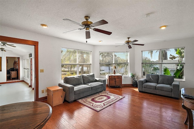 living room with dark hardwood / wood-style flooring, a textured ceiling, and a healthy amount of sunlight