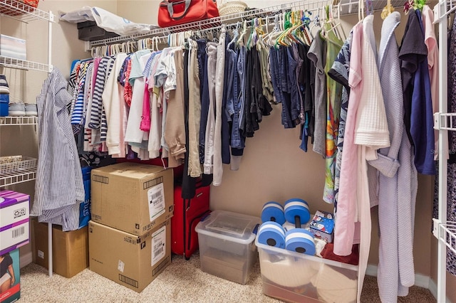 view of walk in closet