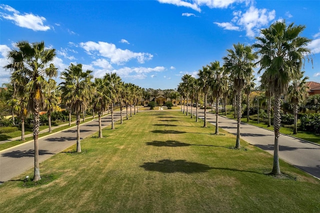 view of property's community featuring a lawn