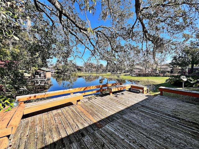 dock area with a water view