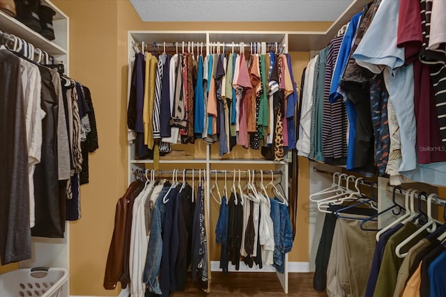 spacious closet featuring hardwood / wood-style floors