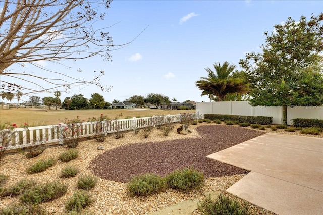 view of yard featuring a patio area