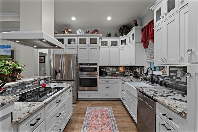 kitchen featuring white cabinetry, island exhaust hood, appliances with stainless steel finishes, and sink