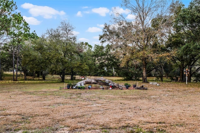 view of yard