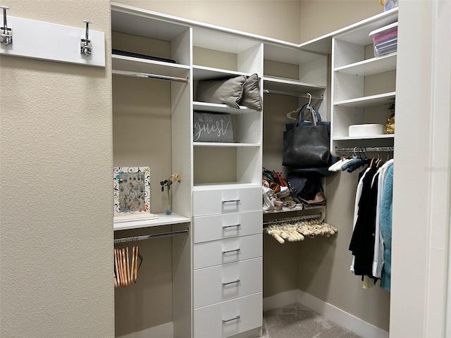 walk in closet featuring carpet flooring