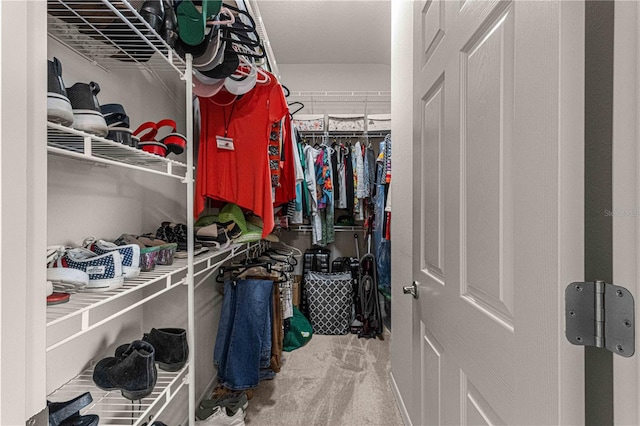 walk in closet featuring carpet flooring