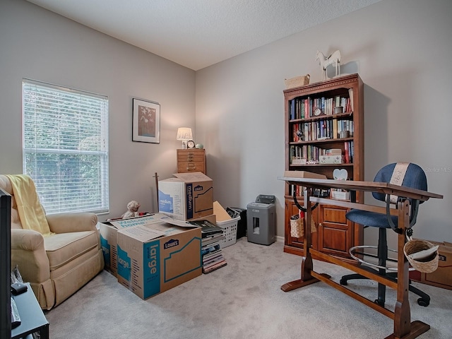 sitting room featuring light carpet and a textured ceiling