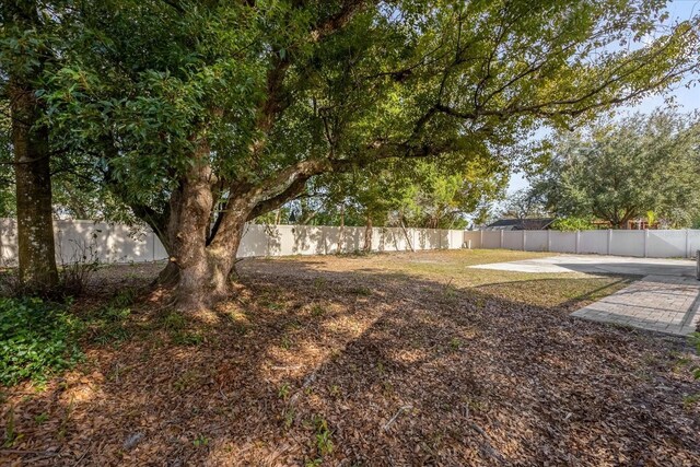 view of yard with a fenced backyard and a patio