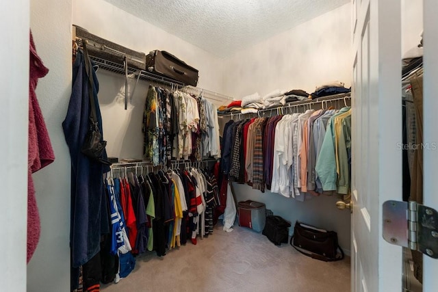 walk in closet featuring carpet flooring