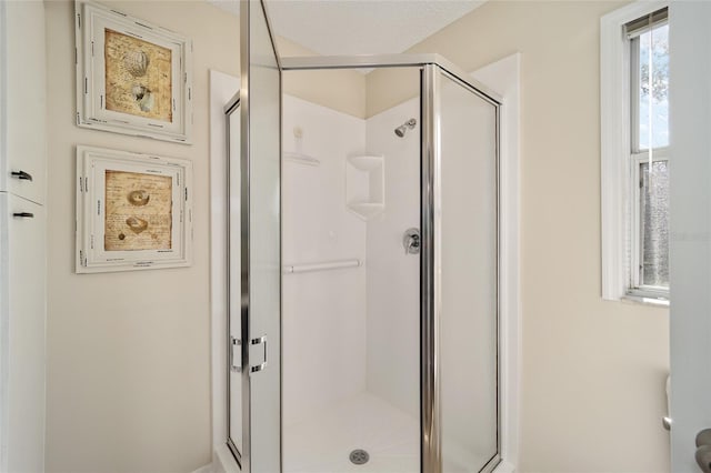 bathroom featuring a shower with shower door