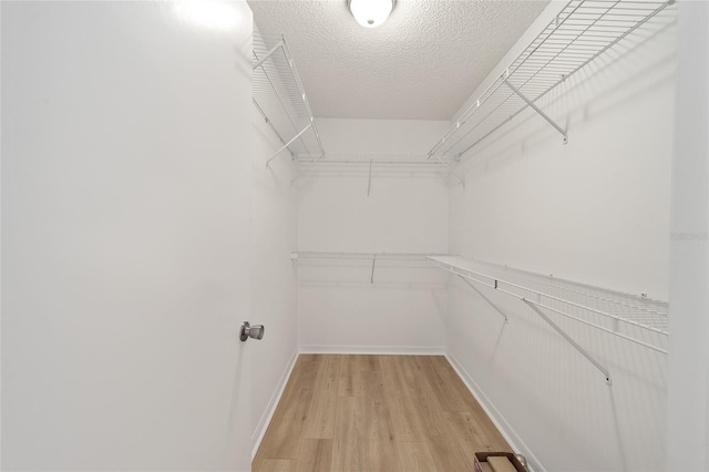 spacious closet with light hardwood / wood-style floors