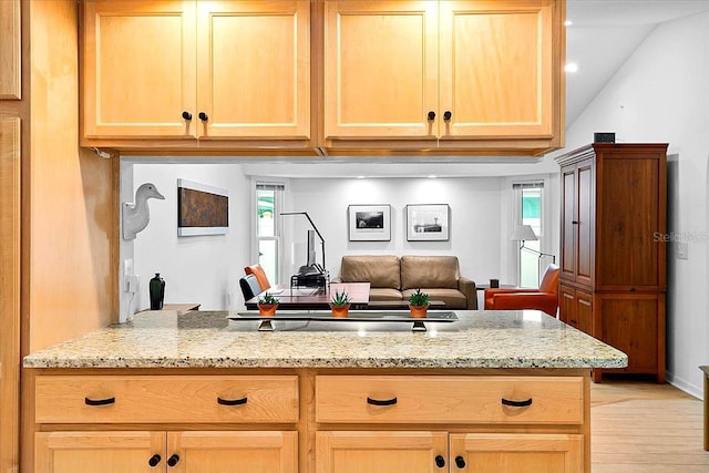 kitchen with light stone counters, a healthy amount of sunlight, and kitchen peninsula