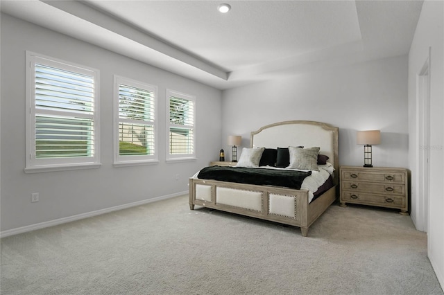 bedroom with a raised ceiling and light carpet