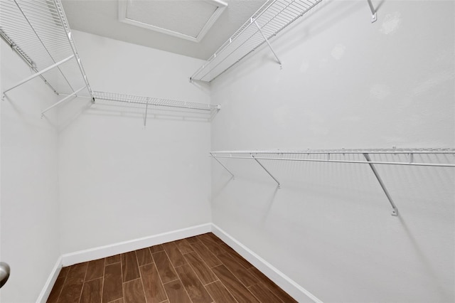 spacious closet featuring dark hardwood / wood-style flooring