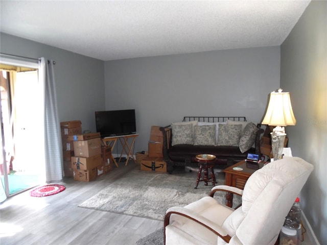 living room with wood-type flooring