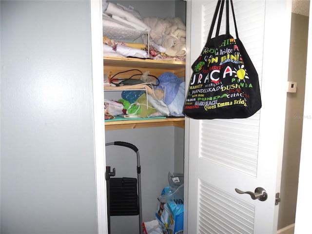 view of closet