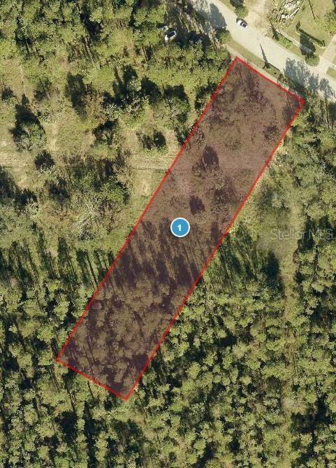 15536 Pendio Dr, Bella Collina FL, 34756 land for sale