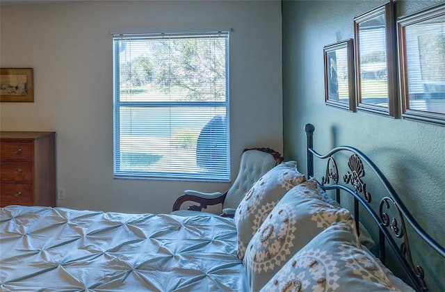 bedroom with multiple windows