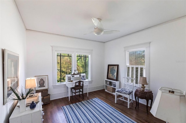 office space with ceiling fan and dark hardwood / wood-style flooring