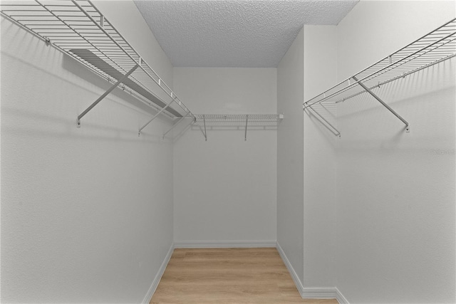 spacious closet featuring light hardwood / wood-style flooring