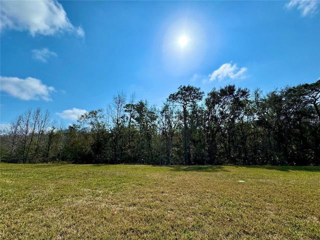 917 Shorehaven Dr, Poinciana, FL 34759 - photo 14