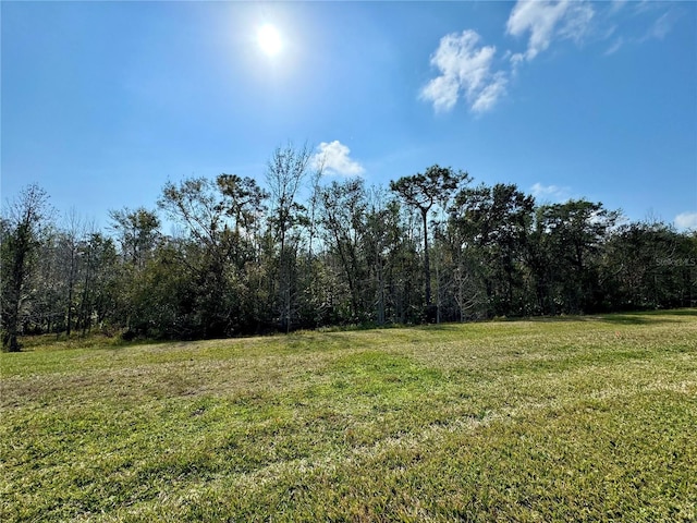 917 Shorehaven Dr, Poinciana, FL 34759 - photo 9