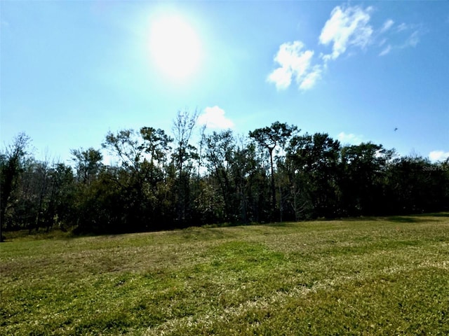 917 Shorehaven Dr, Poinciana, FL 34759 - photo 10