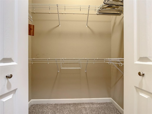 spacious closet featuring carpet flooring