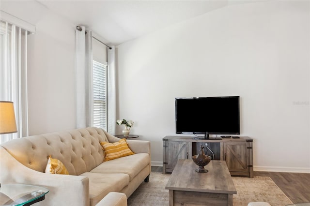 living room featuring hardwood / wood-style flooring