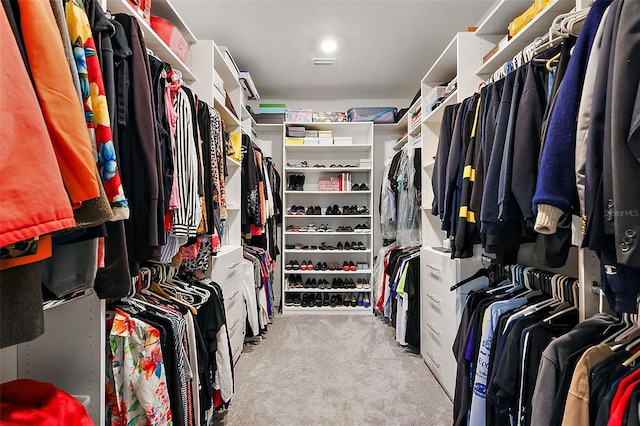 walk in closet with light colored carpet