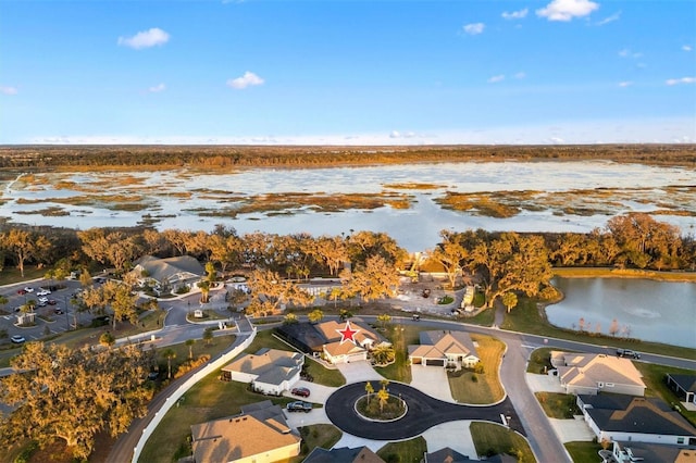 4515 Biggs Pl, The Villages, FL 32163 - aerial view with a water view