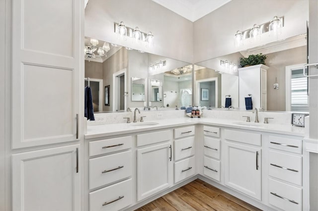 4515 Biggs Pl, The Villages, FL 32163 - bathroom featuring a sink, double vanity, and wood finished floors