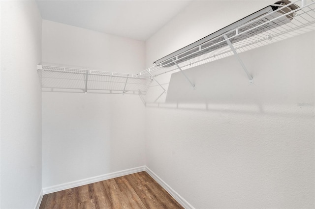 walk in closet featuring wood finished floors