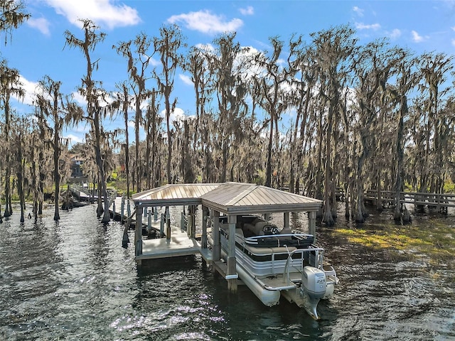 dock area featuring a water view