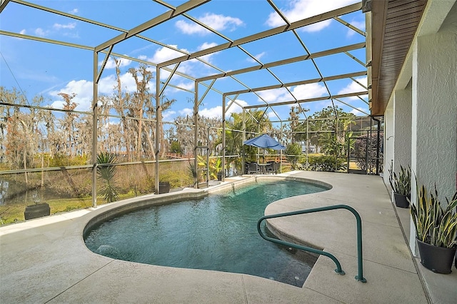 view of swimming pool with a lanai and a patio area