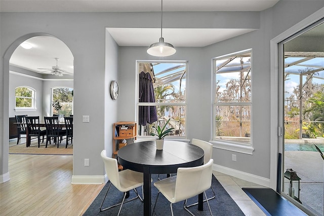 dining space with ceiling fan and light hardwood / wood-style flooring