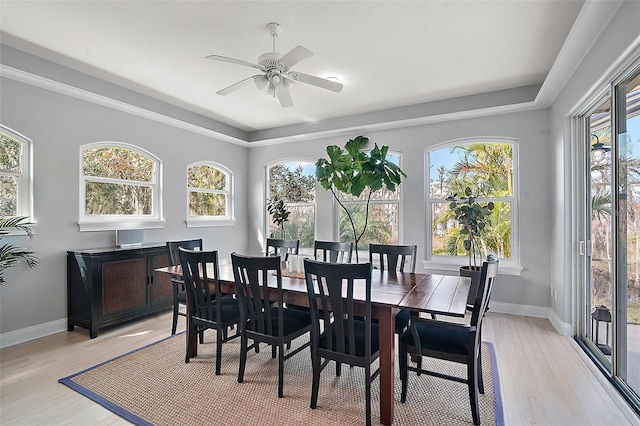 dining room with a wealth of natural light, ceiling fan, and light hardwood / wood-style flooring