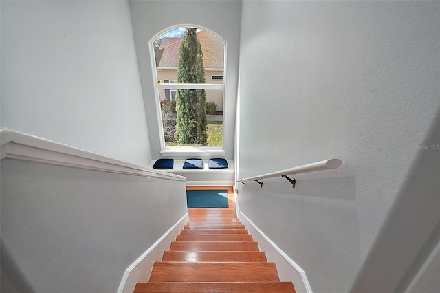 stairs with hardwood / wood-style flooring