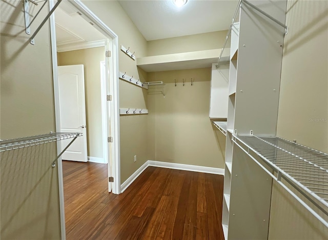 spacious closet with dark hardwood / wood-style flooring