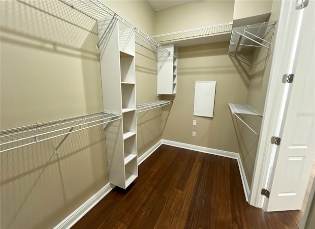 spacious closet with dark hardwood / wood-style floors