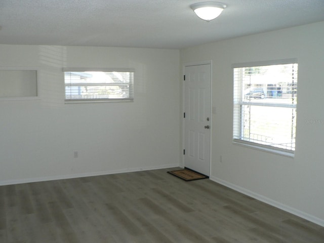 foyer entrance with dark wood-type flooring