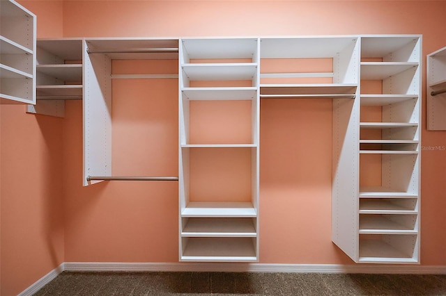 walk in closet featuring carpet floors