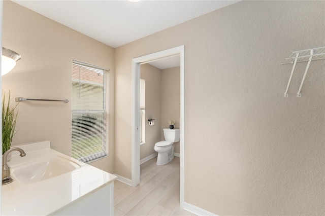 bathroom with vanity, wood-type flooring, and toilet