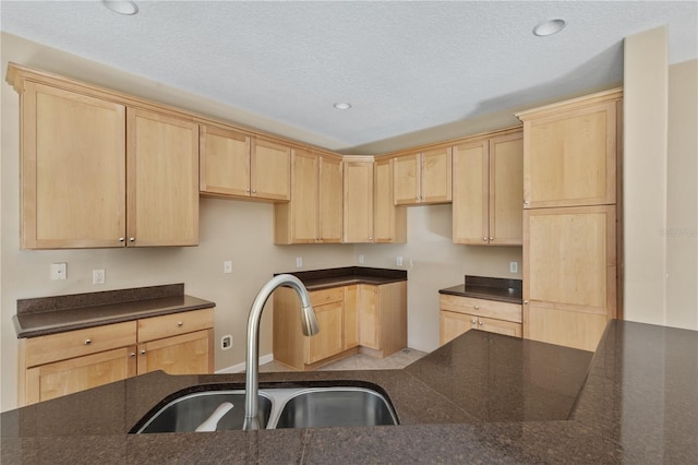 kitchen featuring light brown cabinetry and sink