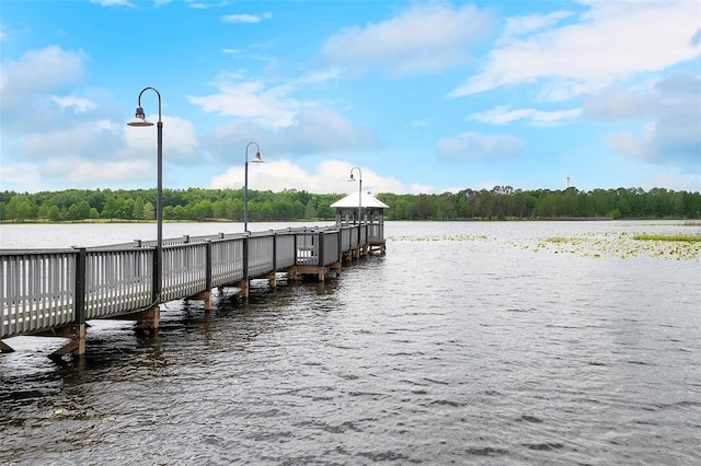 dock area with a water view